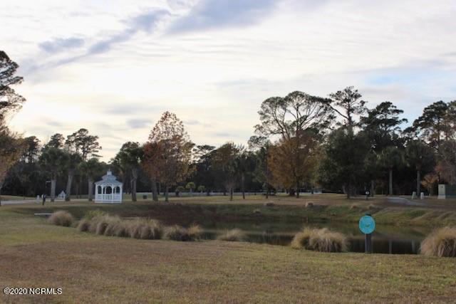 Lot 154 Commanders Island Road Georgetown, SC 29440 - Photo 19 of 24 Pond