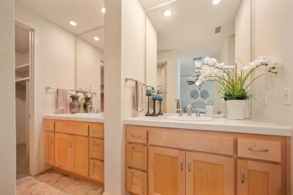 a bathroom with a sink a mirror and a potted plant