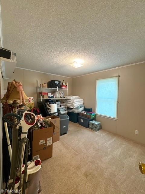 390 Apple Road Reidsville, NC 27320 - Photo 25 of 37 Bedroom 3