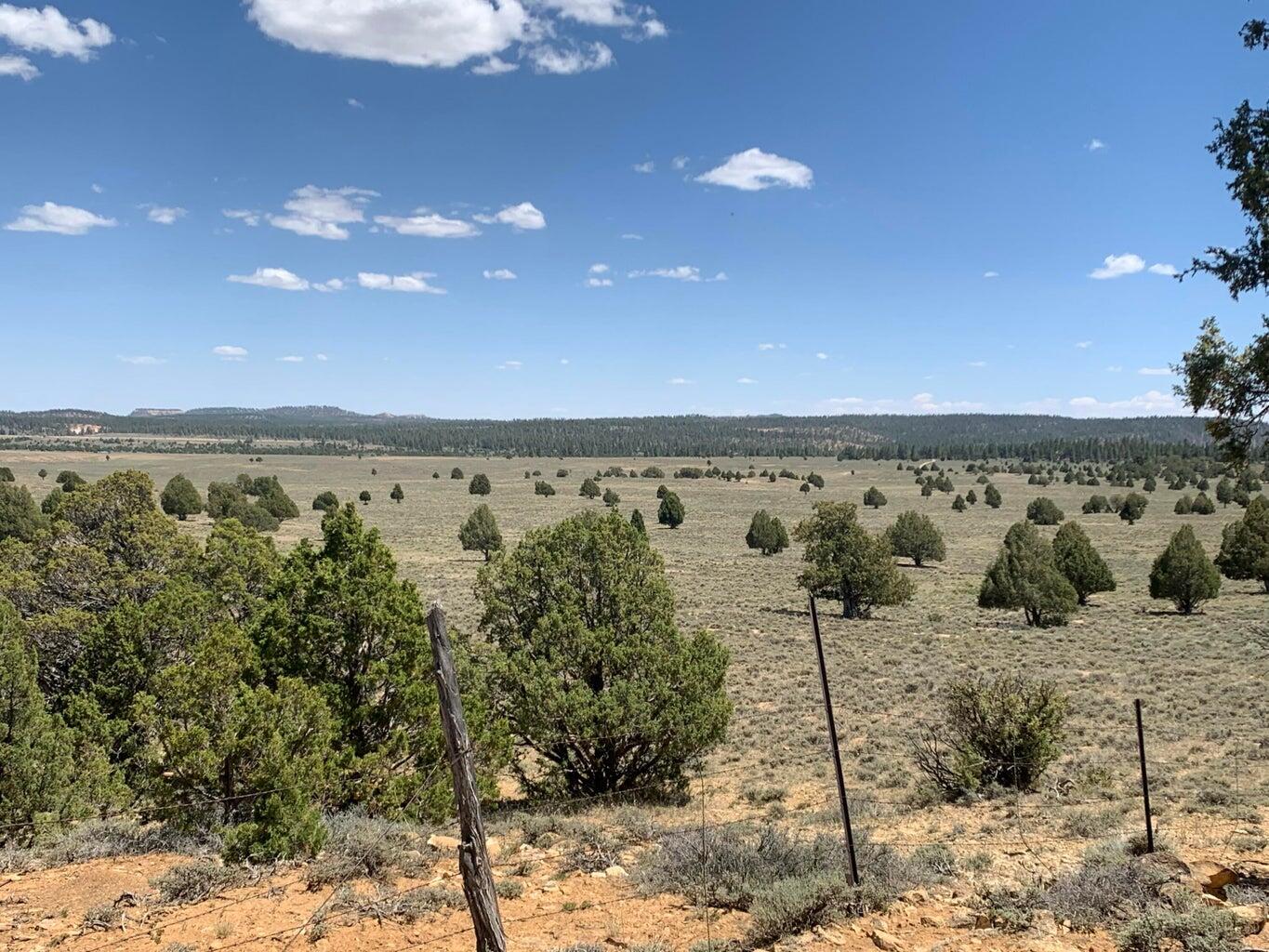 Parcel 15-0075-0240 Hatch, UT 84735 - Photo 6 of 7 6