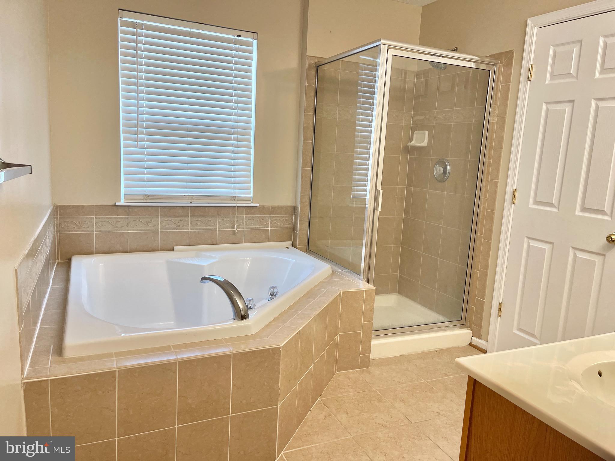 9738 Selfridge Road Baltimore, MD 21220 - Photo 34 of 37 Primary Bath