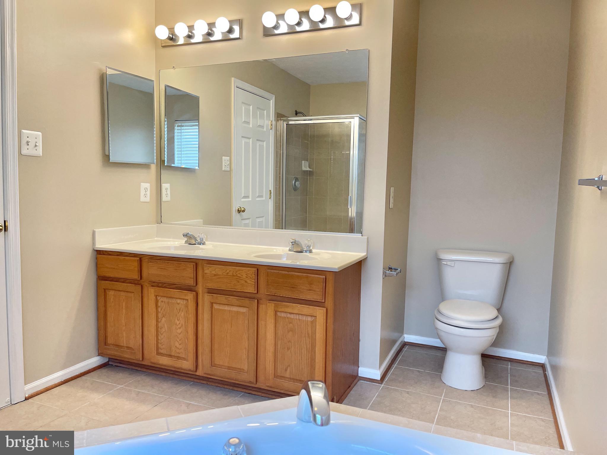 9738 Selfridge Road Baltimore, MD 21220 - Photo 35 of 37 Primary Bath