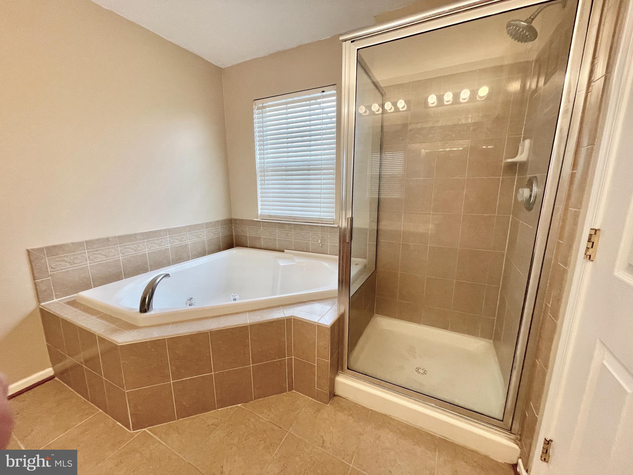 9738 Selfridge Road Baltimore, MD 21220 - Photo 36 of 37 Primary Bath