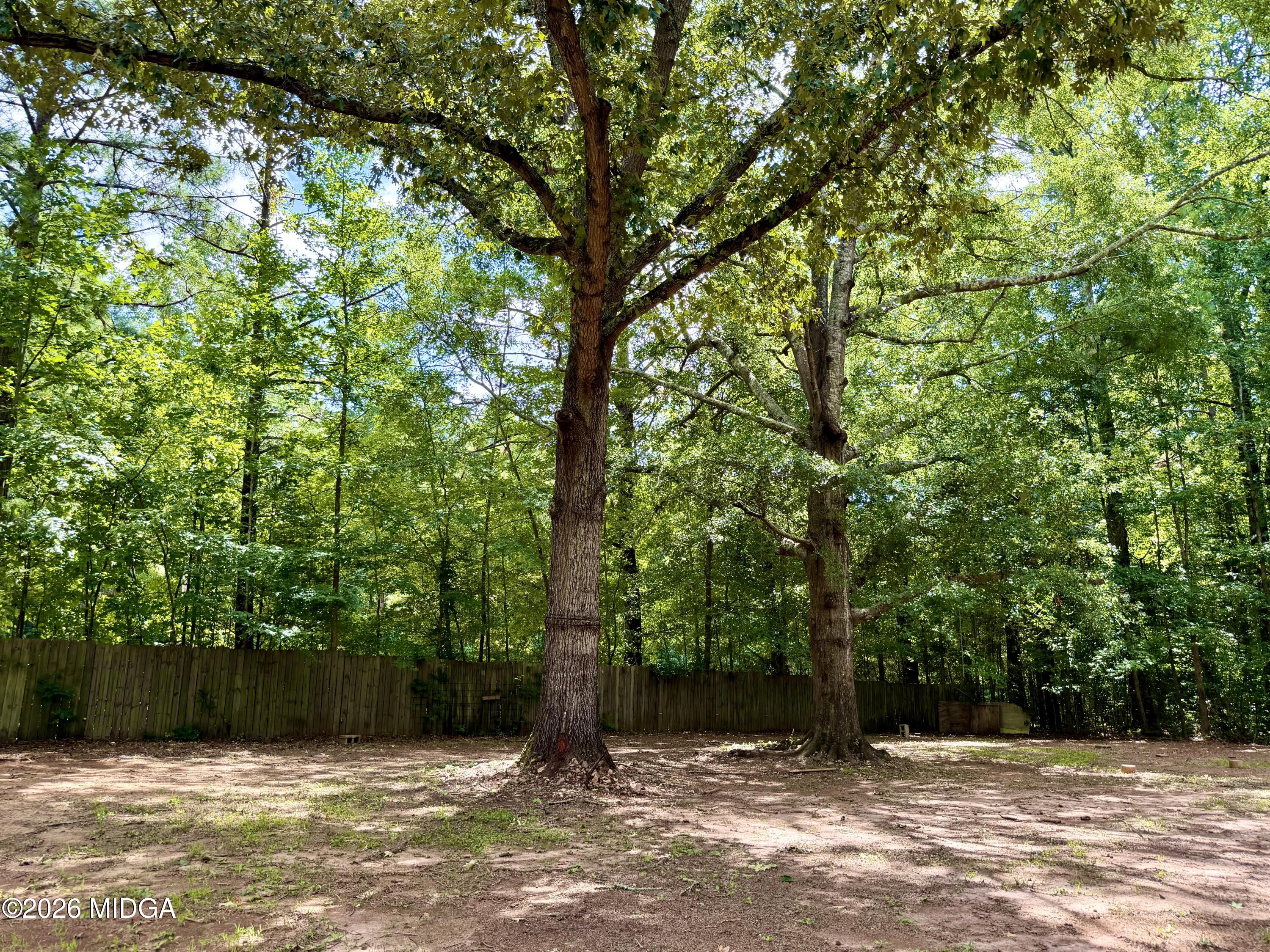 1244 Smith Road Forsyth, GA 31029 - Photo 32 of 32 IMG_8269