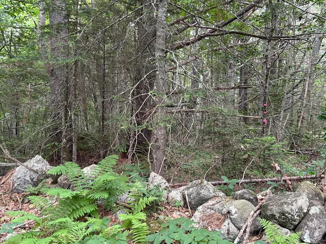 $79,500 | Lot 2-412 Center Street, Nobleboro, ME 04555