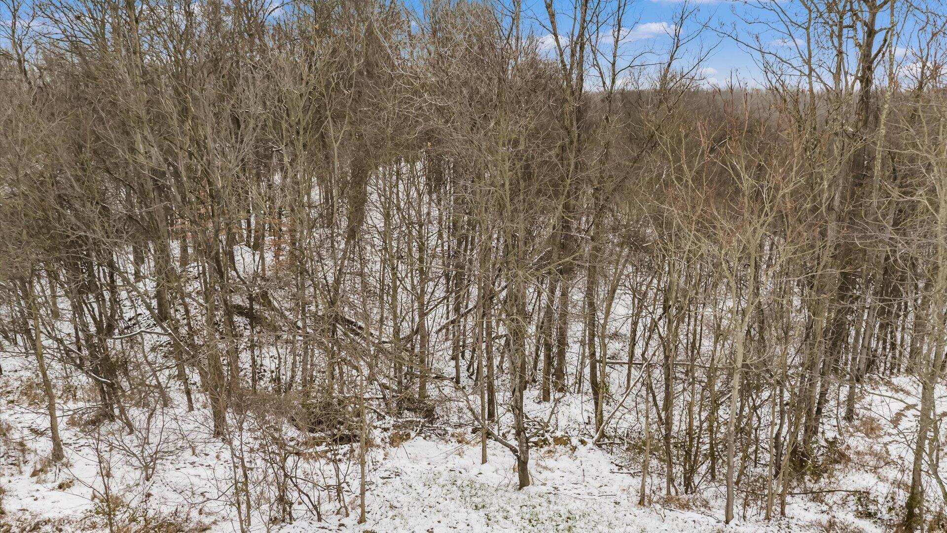 9141 Wesley Chapel Road Mount Perry, OH 43760 - Photo 28 of 46 25-z 9141 Wesley025