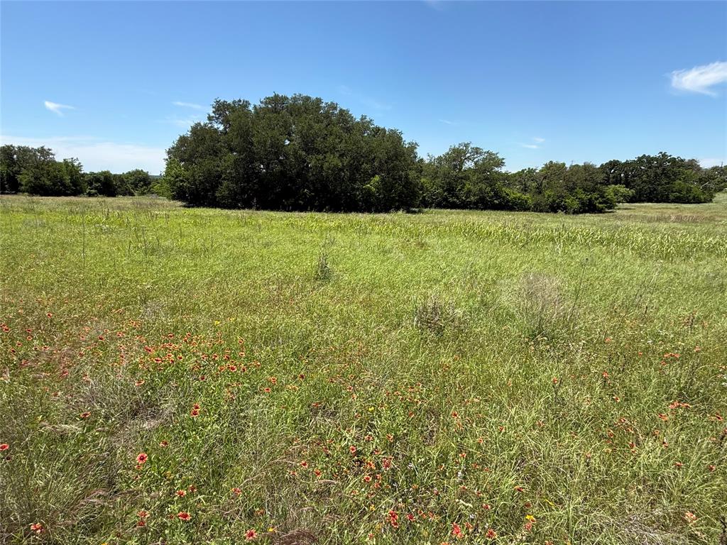 601 Chestnut Street Hico, TX 76457 - Photo 11 of 17
