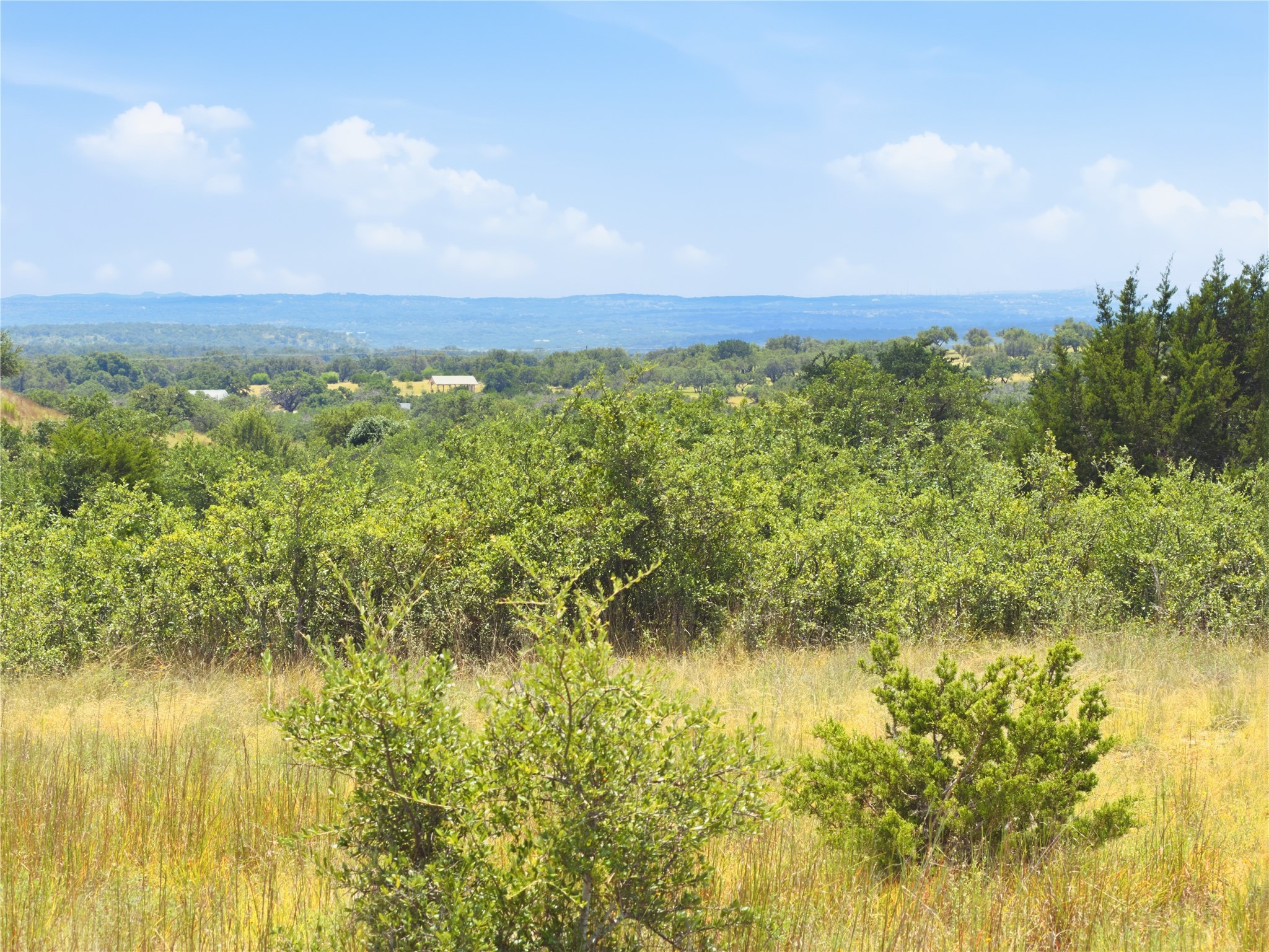963 Summit Ridge Trail Johnson City, TX 78636 - Photo 14 of 30 Rolling hills and mature trees create a captivating, natural landscape stretching to the distant horizon.
