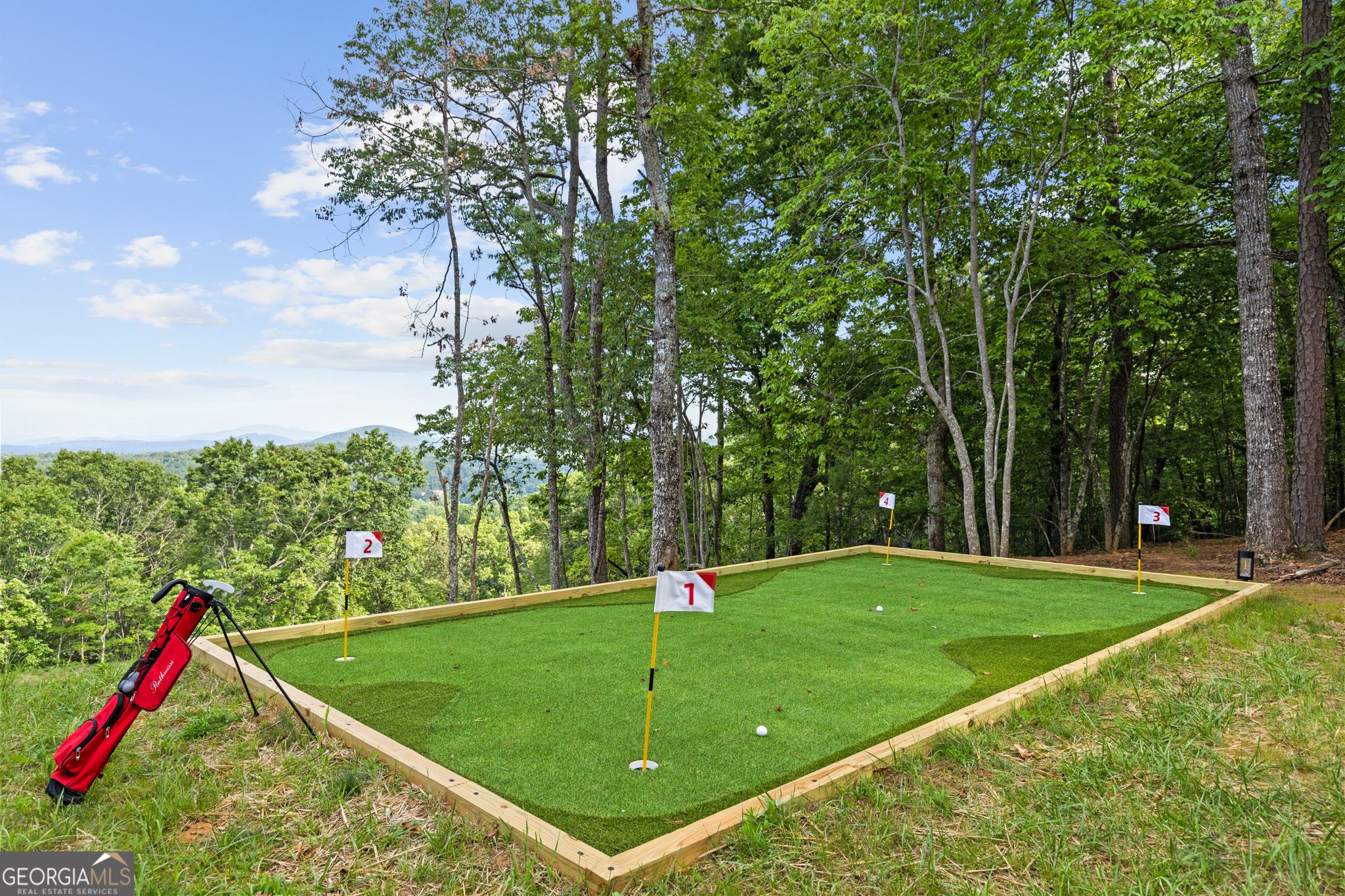 769 Voylestown Road Morganton, GA 30560 - Photo 28 of 29