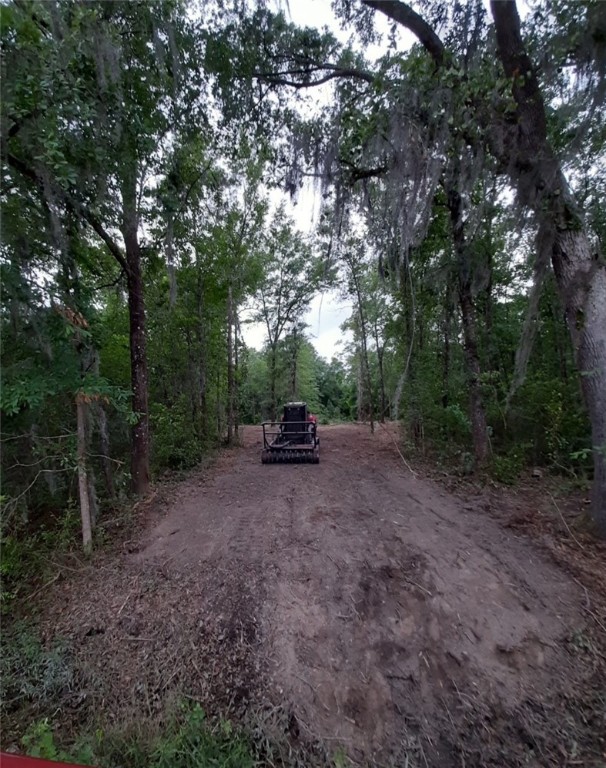 1451 Blues Reach Road Southwest Townsend, GA 31331 - Photo 3 of 3 Cleared in 2020