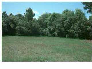 Primary Photo