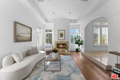a living room with furniture or couch and a fireplace