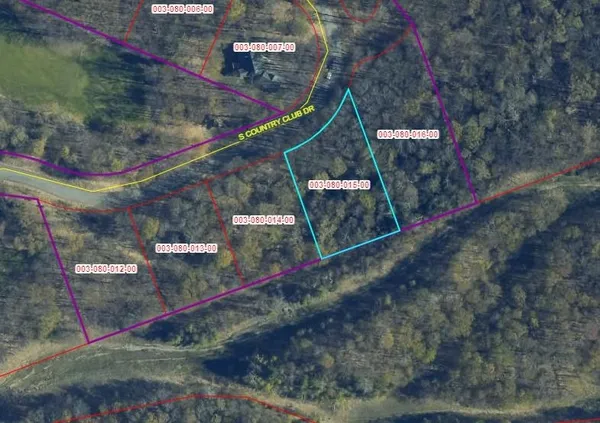 $140,000 | Lot 15 South Club Drive, Unit LOT 15 LOT: 15, Cedar, MI 49621
