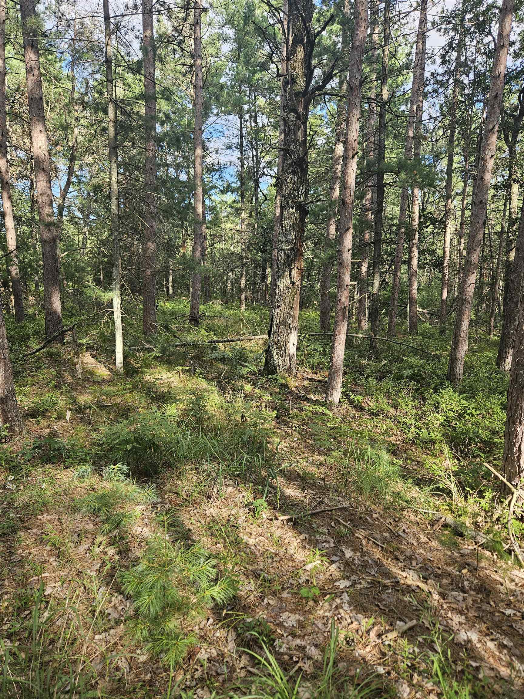 0 Curtis Road Hale, MI 48739 - Photo 20 of 24