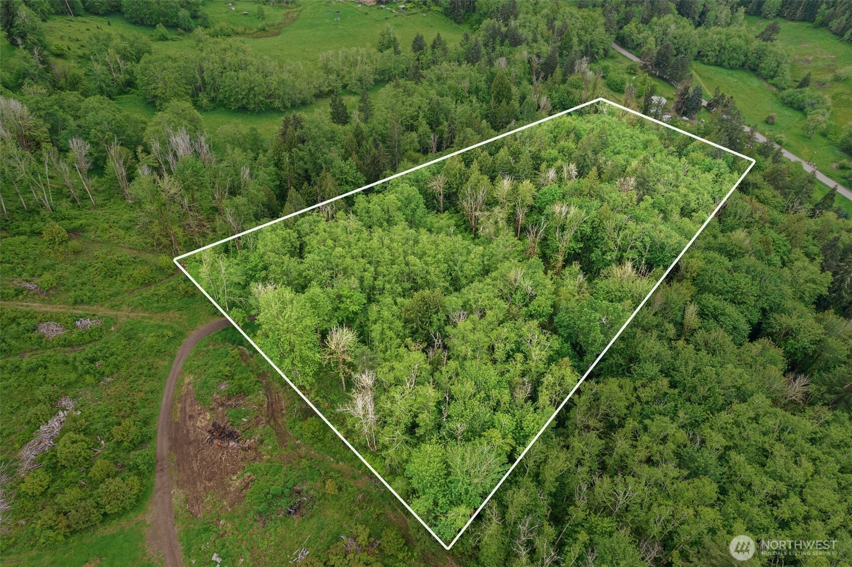 0 Salmon Creek Road Mossyrock, WA 98564 - Photo 3 of 4 a view of a tennis court