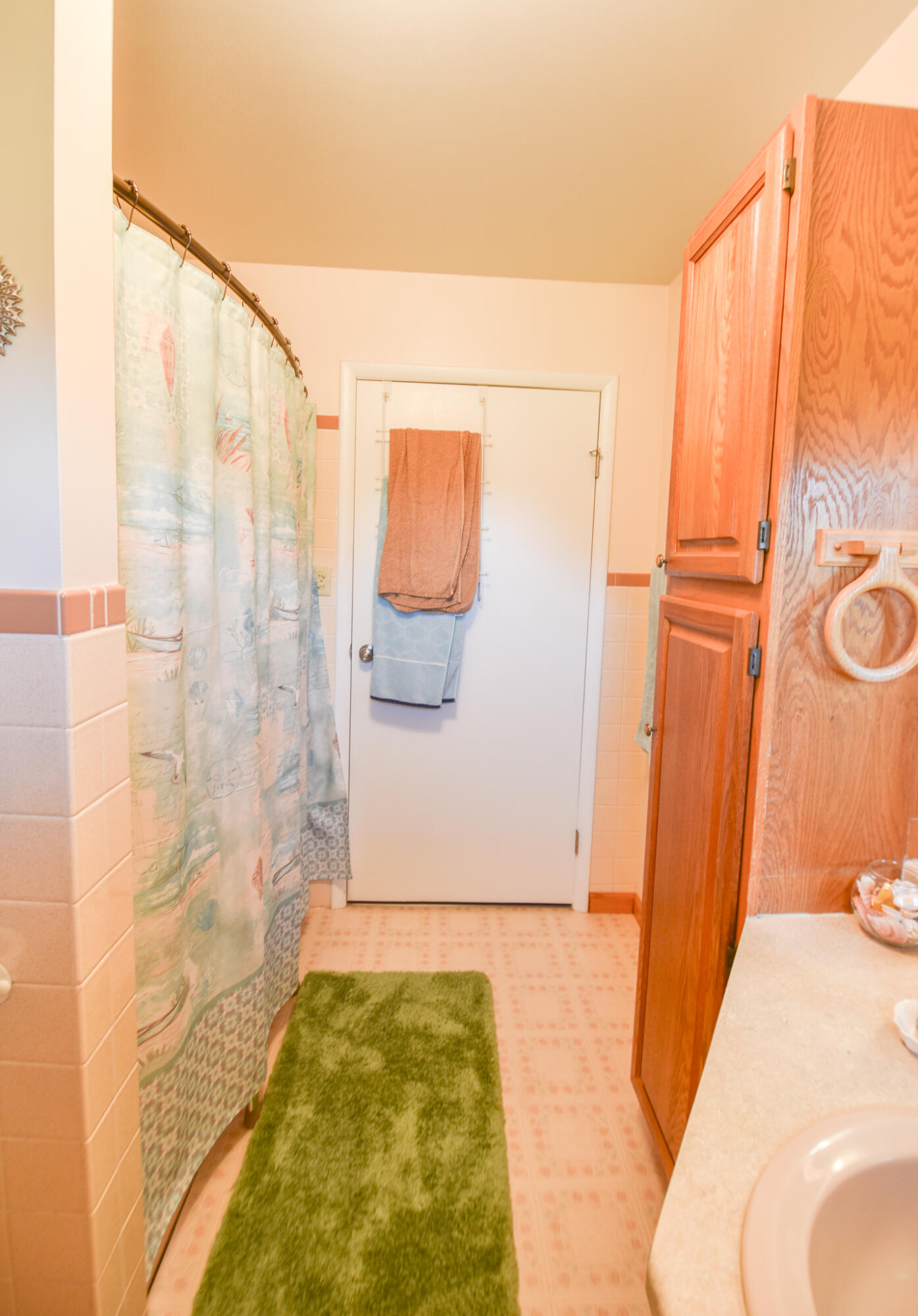 429 River Road Coldwater, MI 49036 - Photo 30 of 45 DSC_0029