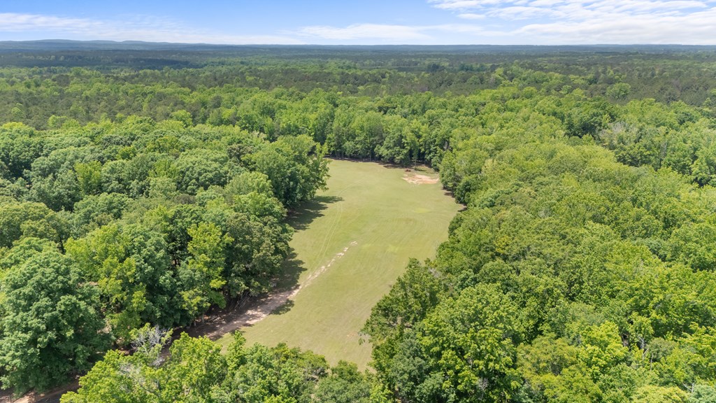 186 Beech Springs Road Pine Mountain, GA 31822 - Photo 4 of 59