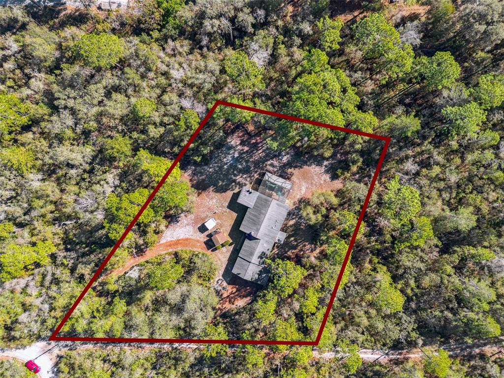 175 Bull Run Avenue Osteen, FL 32764 - Photo 39 of 41 a yard with a tree