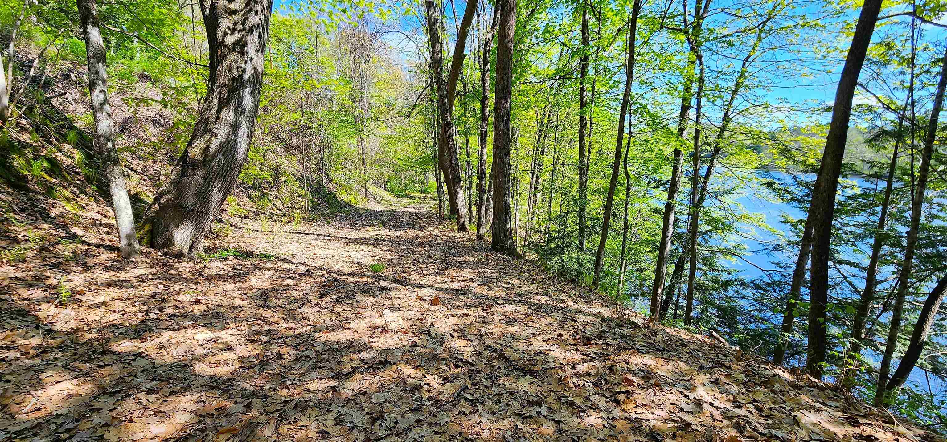 1507 Connecticut River Road Springfield, VT 05156 - Photo 4 of 18