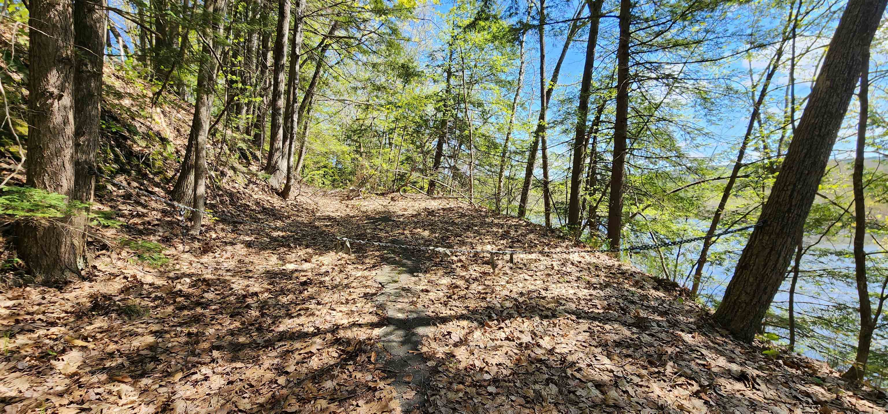 1507 Connecticut River Road Springfield, VT 05156 - Photo 5 of 18