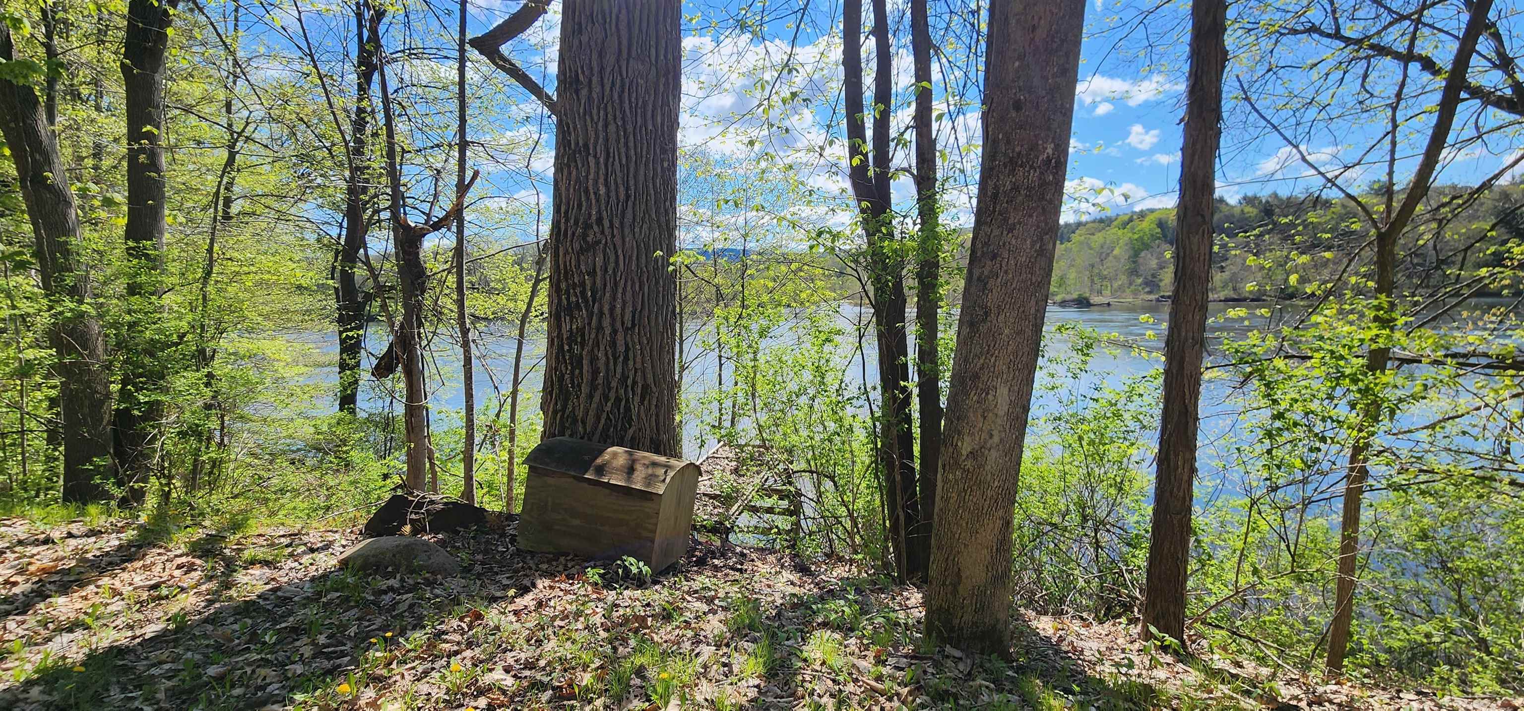 1507 Connecticut River Road Springfield, VT 05156 - Photo 10 of 18