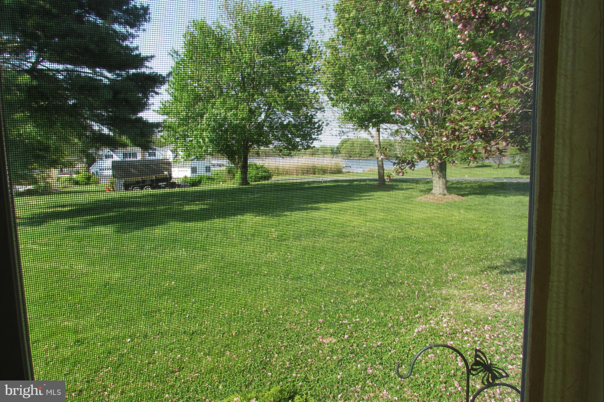 201 Greenwood Creek Road Queenstown, MD 21658 - Photo 17 of 25 a view of a trees in a yard