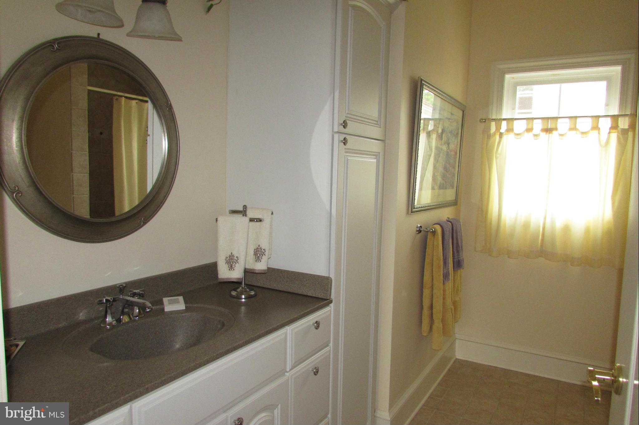 201 Greenwood Creek Road Queenstown, MD 21658 - Photo 25 of 25 a bathroom with a sink and a mirror