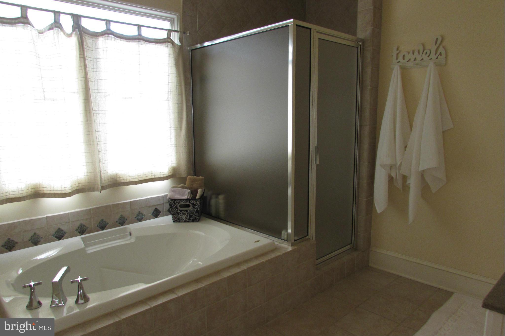 201 Greenwood Creek Road Queenstown, MD 21658 - Photo 9 of 25 a bathroom with a shower and a tub