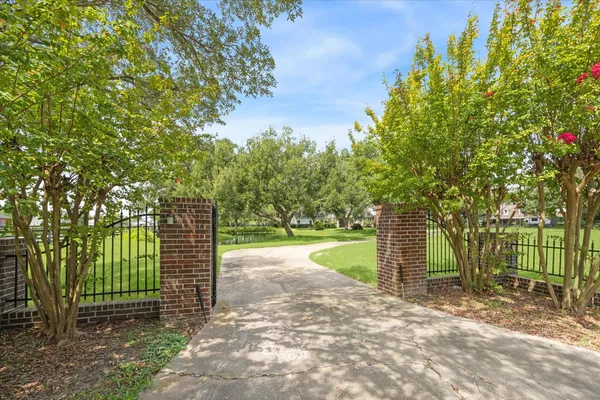 a view of a yard with plants and wooden fence