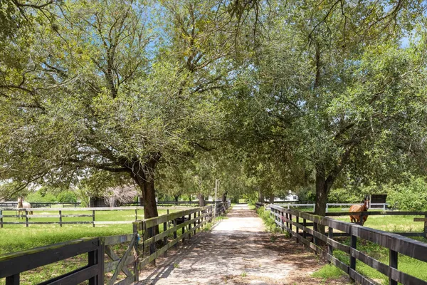 a view of a road with a yard