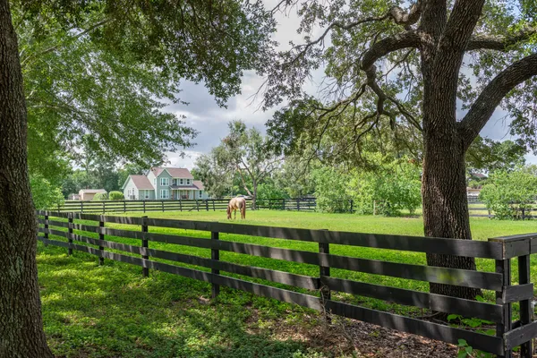 a front view of a house with yard and green space