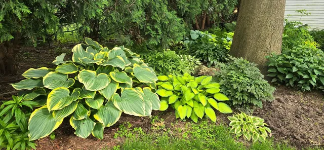 $360,000 | 1520 Shannon Drive, Janesville, WI 53546