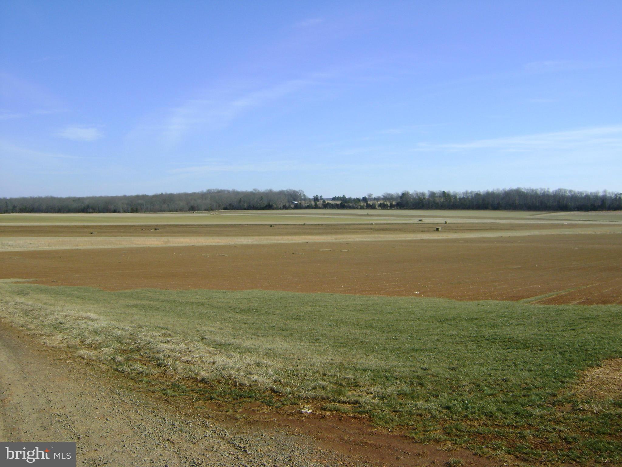 7003 Sumerduck Road Remington, VA 22734 - Photo 8 of 9 Exterior (General)
