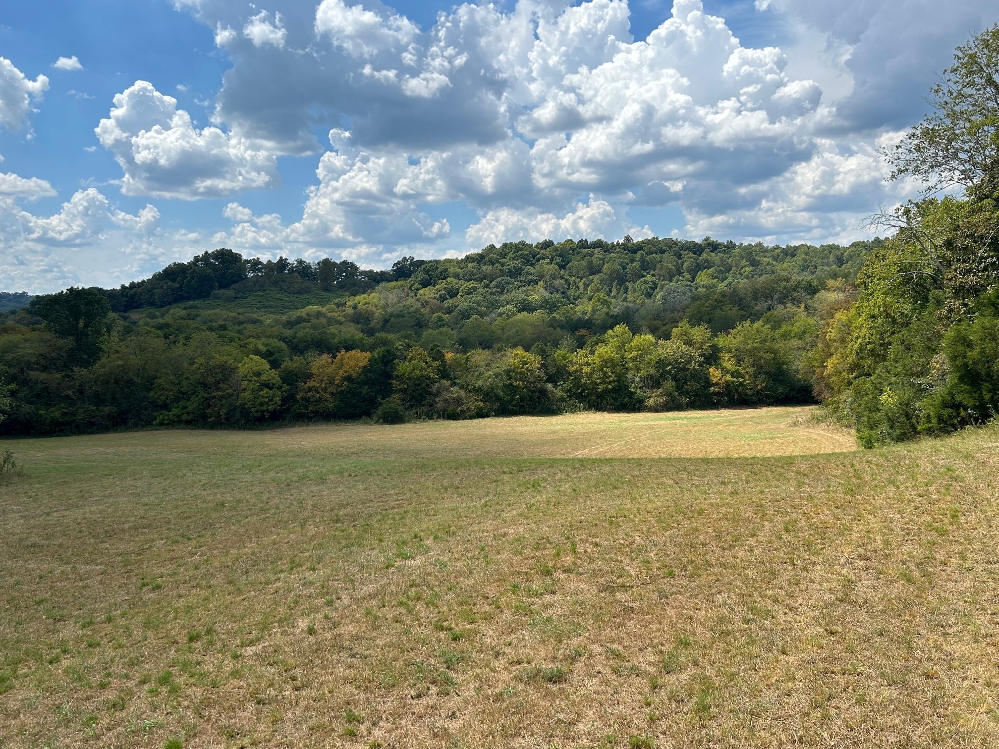 501 Tallent Road Pulaski, TN 38478 - Photo 4 of 23 a view of an ocean and beach
