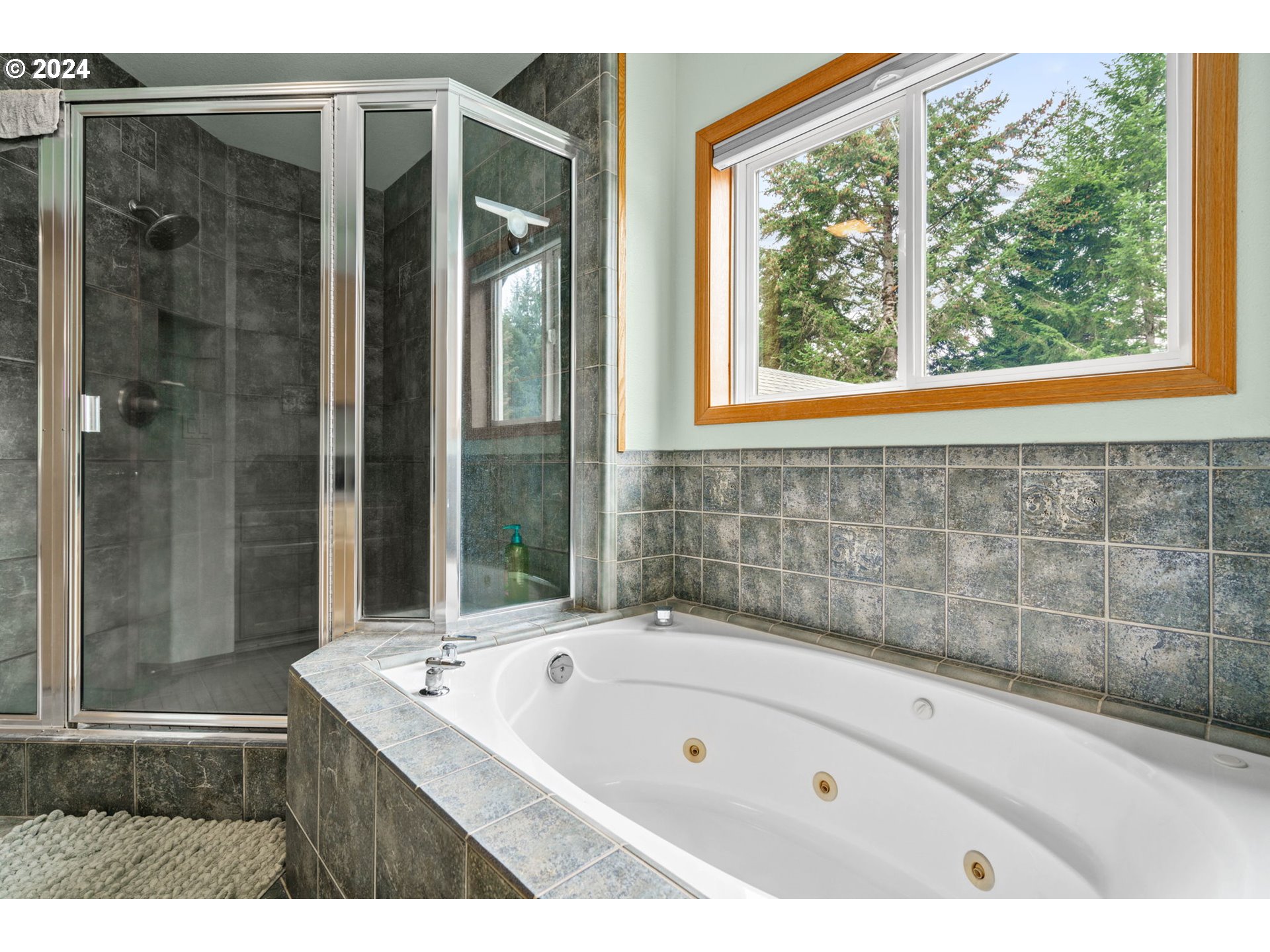 25241 Hall Road Cheshire, OR 97419 - Photo 23 of 48 a bathroom with a bathtub and a shower