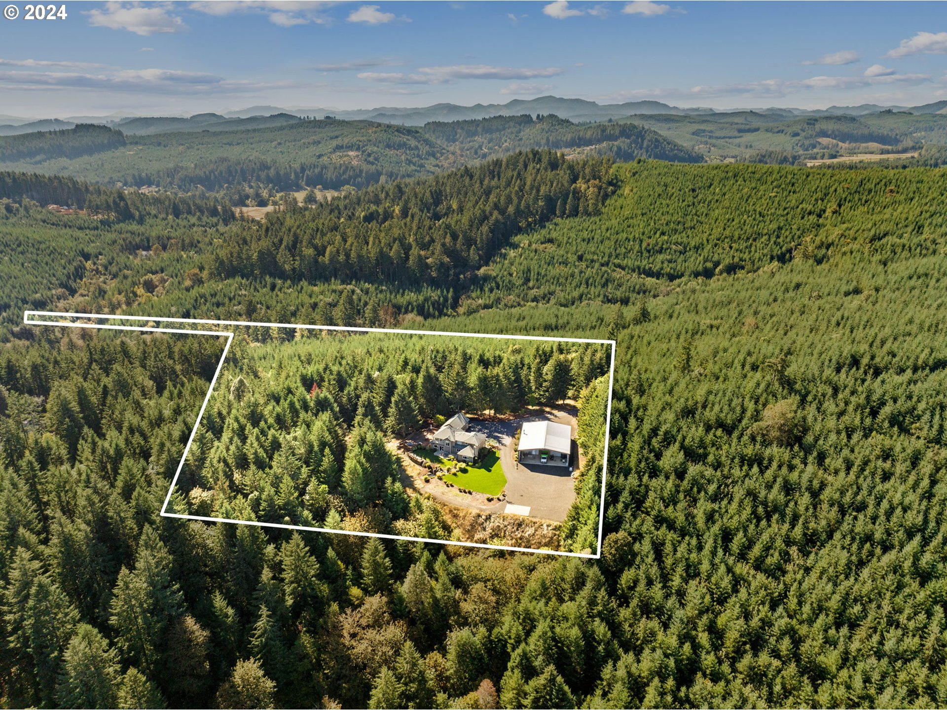 25241 Hall Road Cheshire, OR 97419 - Photo 48 of 48 a view of a forest