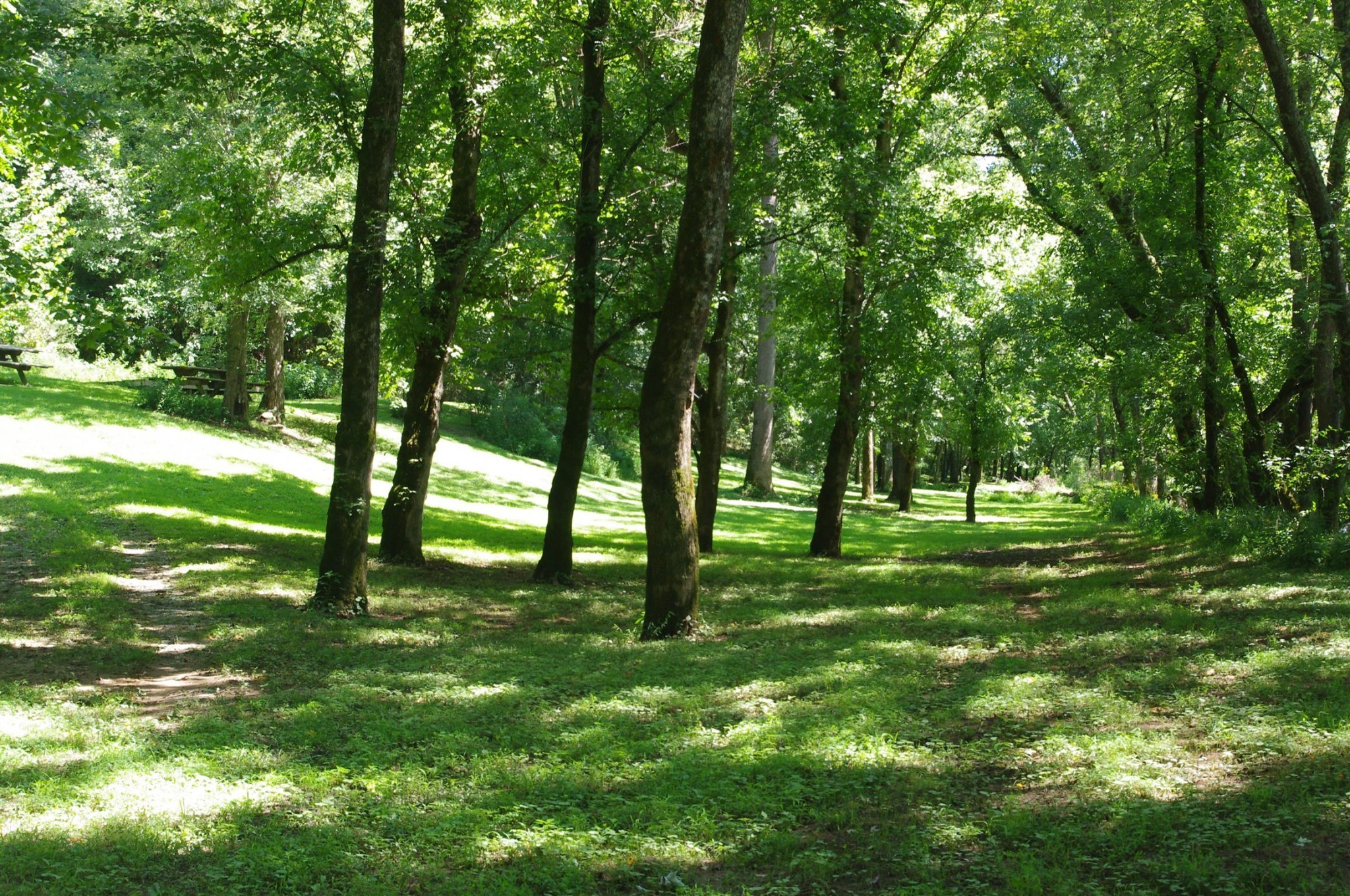 268 Ben Gentry Road Elmwood, TN 38560 - Photo 11 of 36 Gallery Image 11