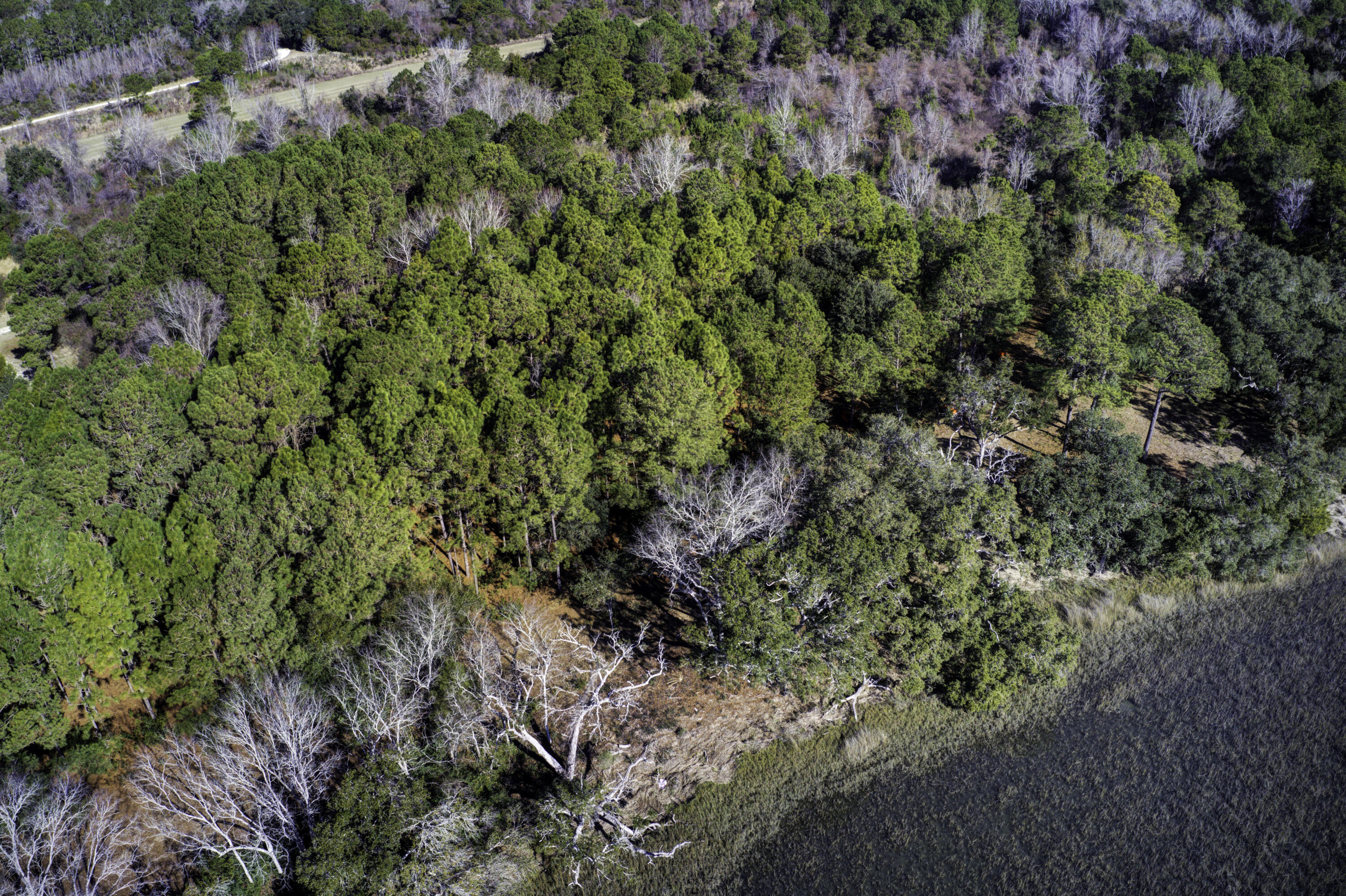 4 Morants Point Road McClellanville, SC 29458 - Photo 24 of 25 Morants Point Lot 4, Morants Point SC (2