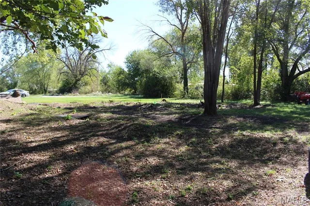 $56,000 | 209 South Elm Street, Bellflower, MO 63333