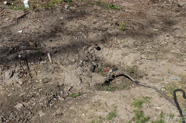 $56,000 | 209 South Elm Street, Bellflower, MO 63333