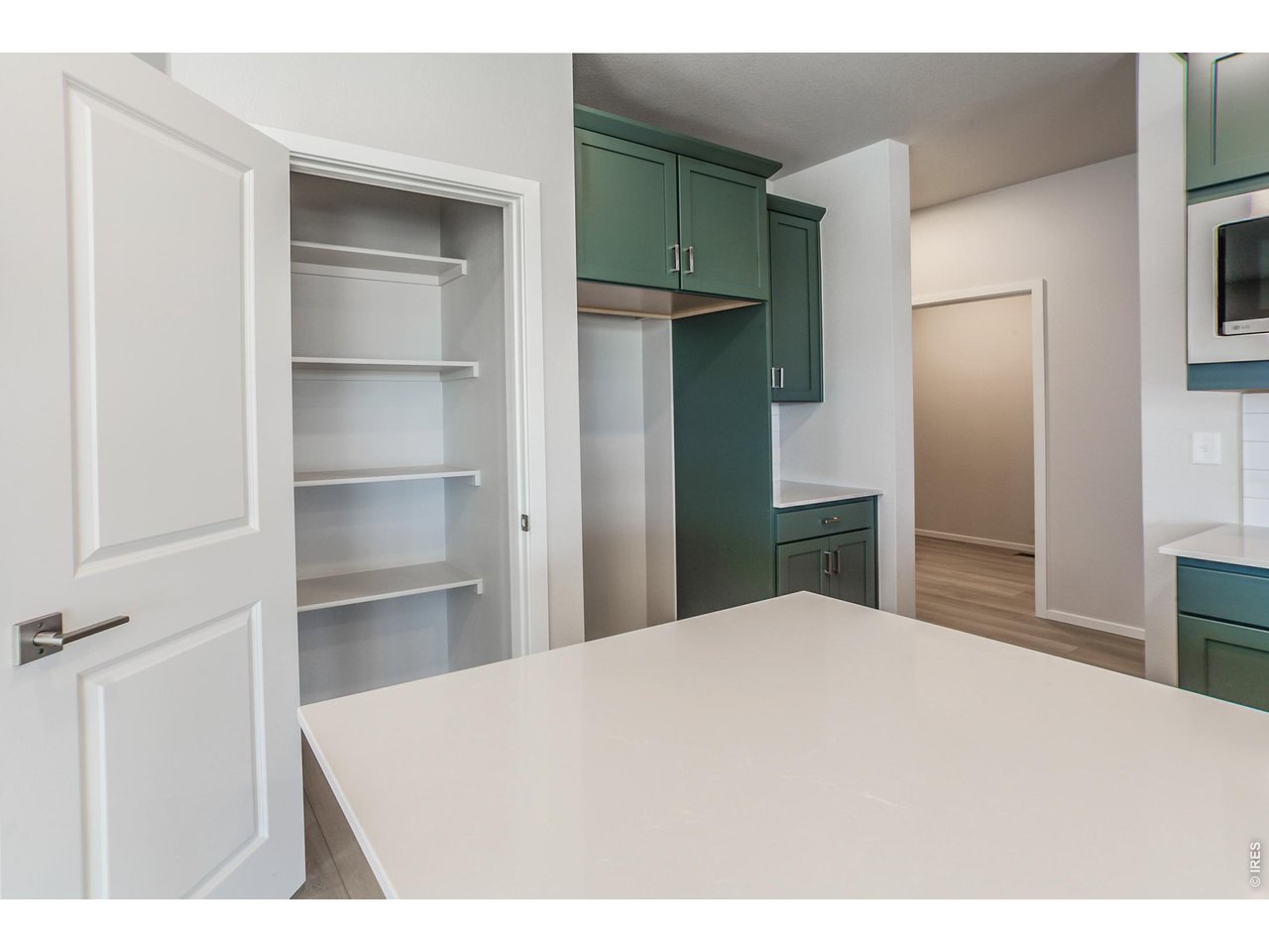 774 Trumpet Court Windsor, CO 80550 - Photo 19 of 49 PANTRY