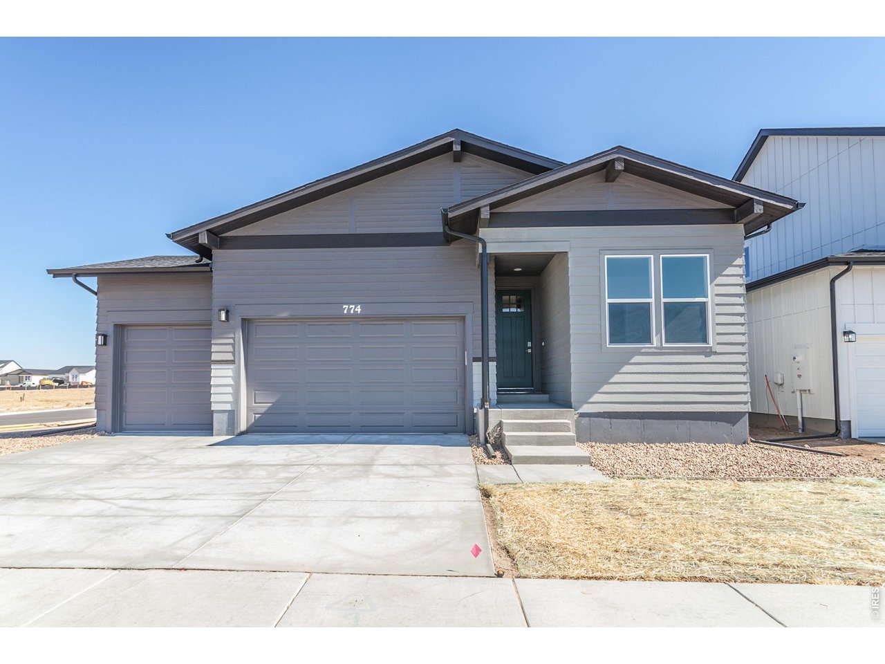 774 Trumpet Court Windsor, CO 80550 - Photo 3 of 49
