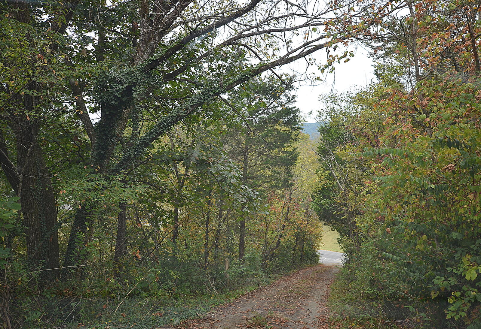 1716 Happy Hill Road Kingsport, TN 37660 - Photo 2 of 17 DSC_0125