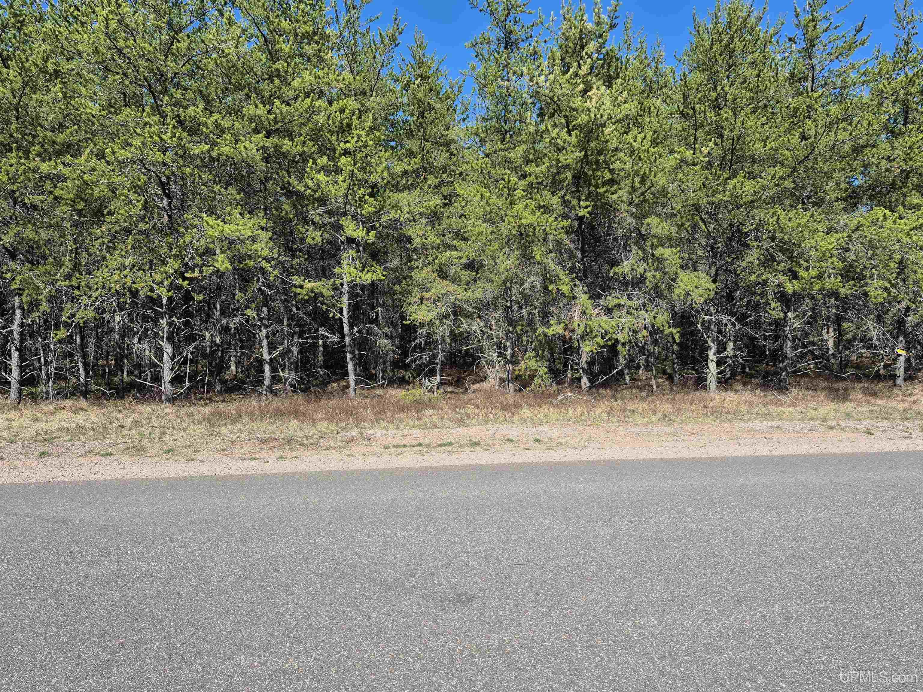 2 Rice Lake Road Gwinn, MI 49841 - Photo 10 of 24