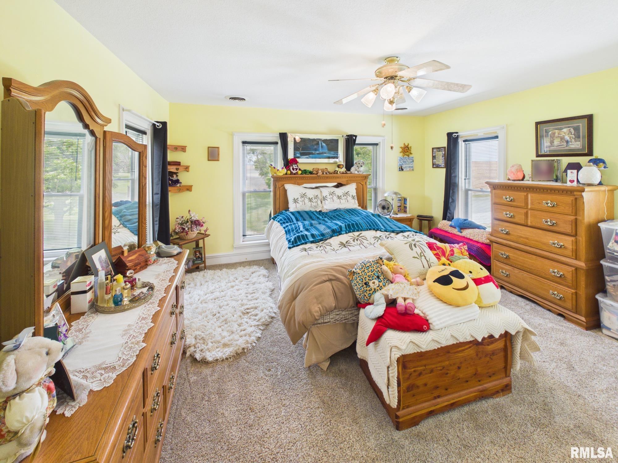 8832 Jackson Road Blue Mound, IL 62513 - Photo 31 of 69