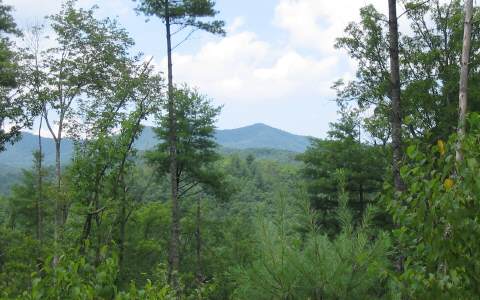 Lot 2 Quail Ridge Road Blue Ridge, GA 30513 - Photo 1 of 1 Main View