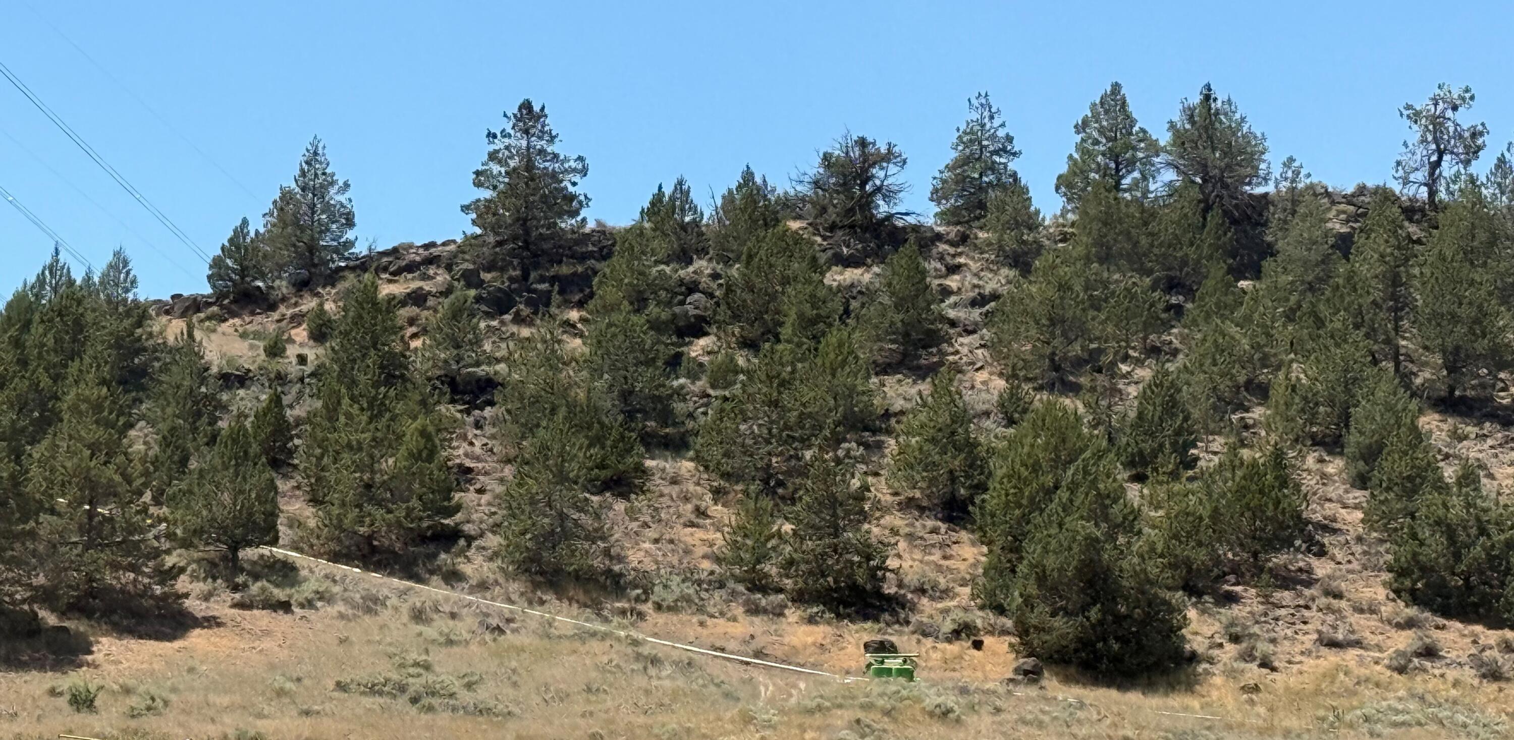 17550 Maupin Road Malin, OR 97632 - Photo 55 of 62 a view of a dry yard with trees
