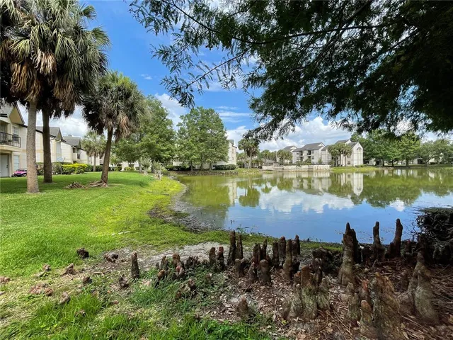 a view of a lake with lawn chairs and large trees
