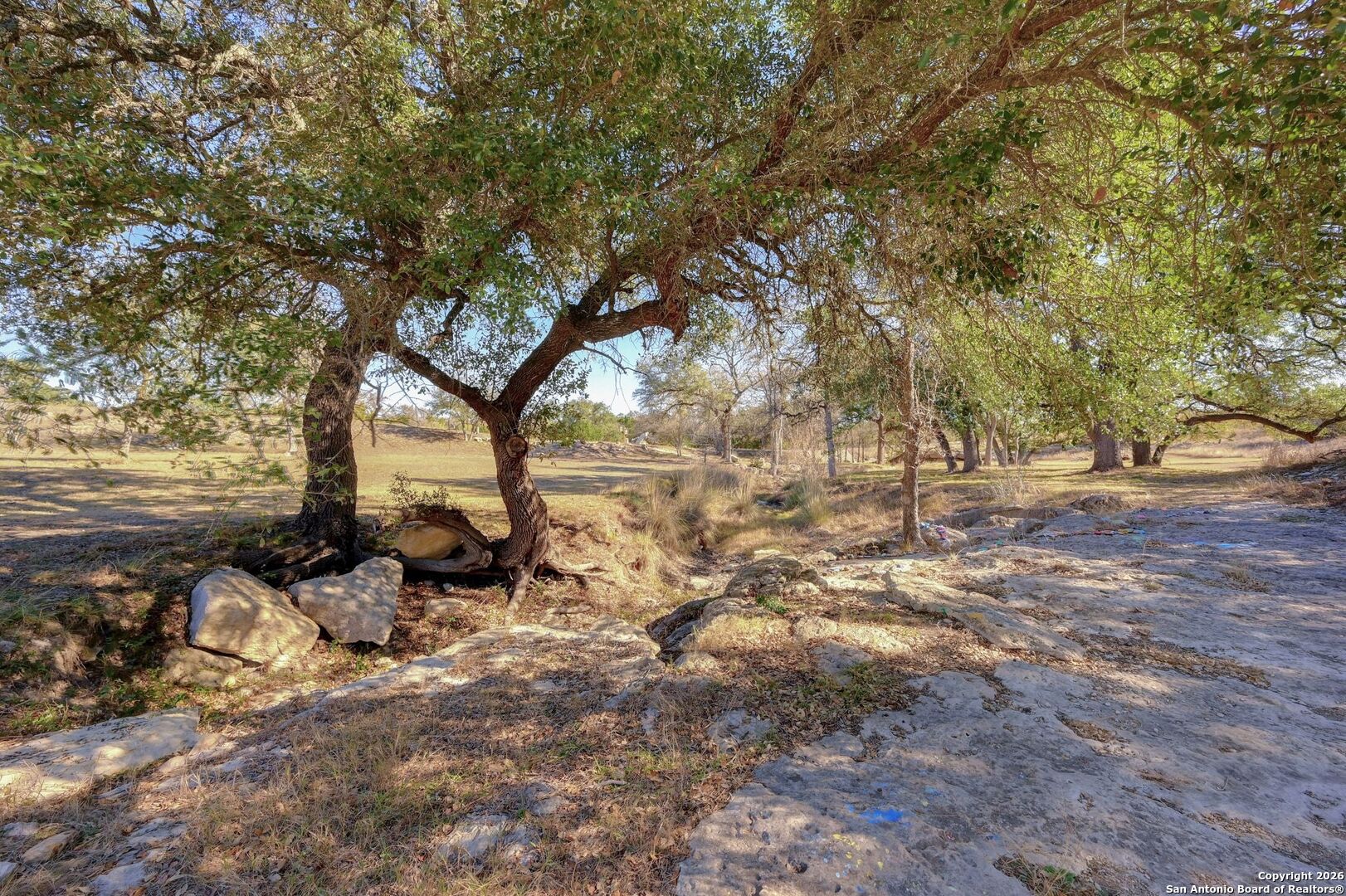 105 Nicholas Weeks Blanco, TX 78606 - Photo 26 of 39