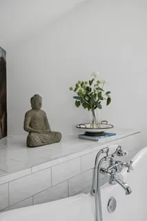 a view of a sink with a potted plant